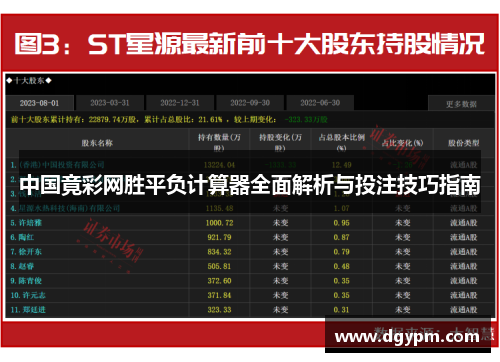 中国竟彩网胜平负计算器全面解析与投注技巧指南